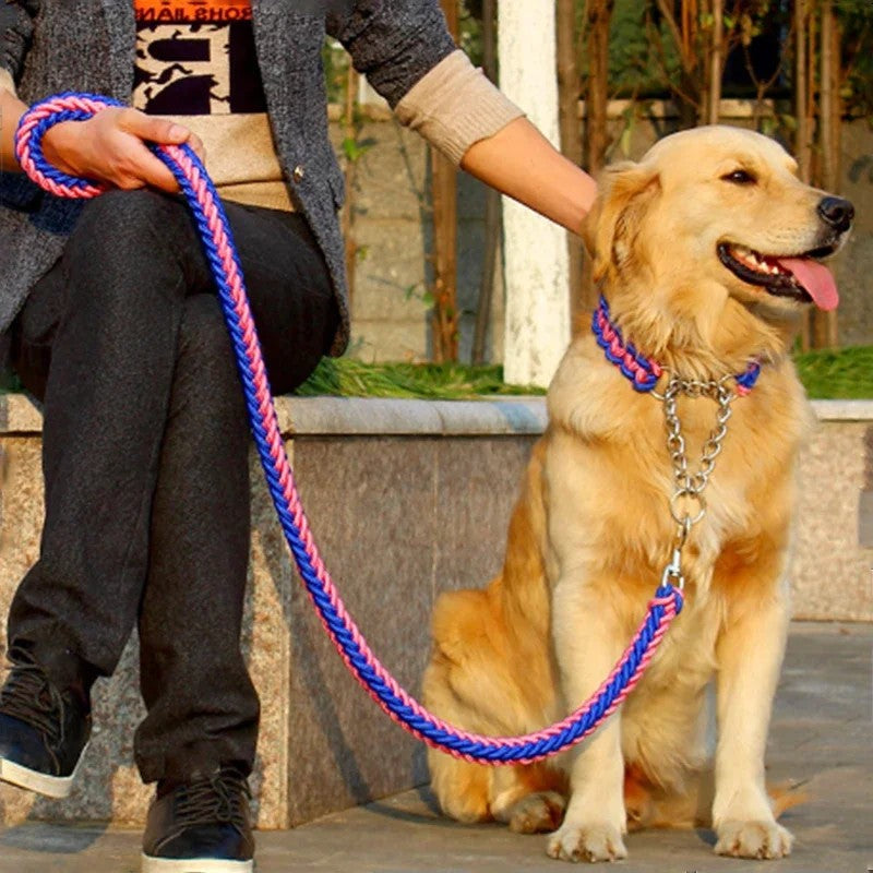 Pet Collars & Leashes