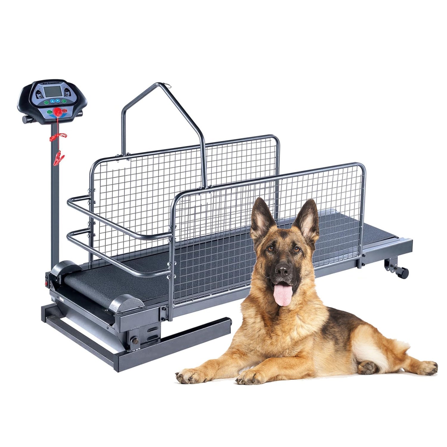 Exercise Treadmills For Dogs