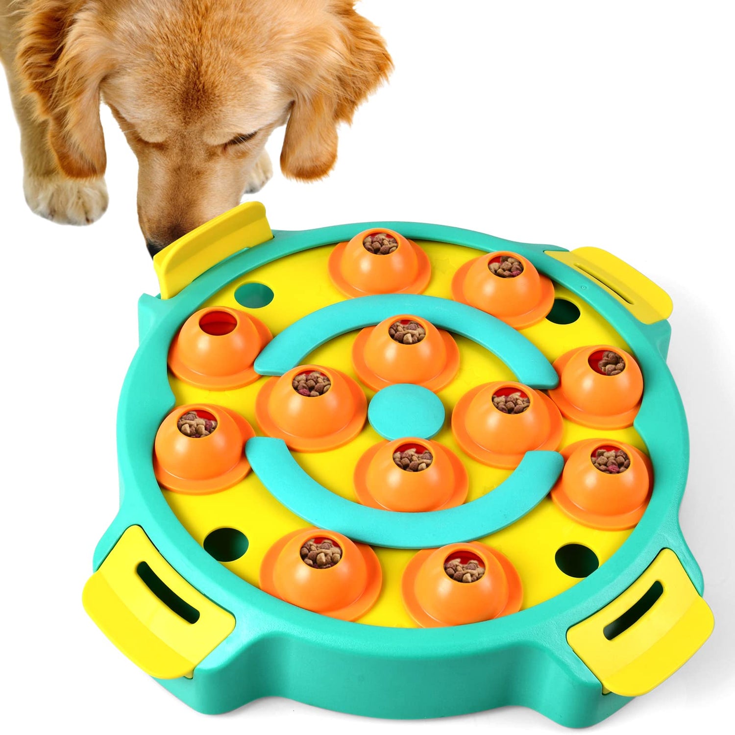 Interactive Dog Toys