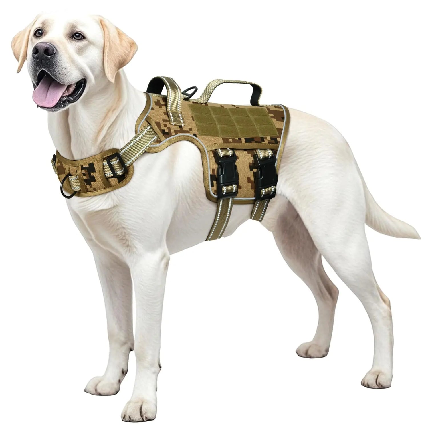 Pet Harnesses