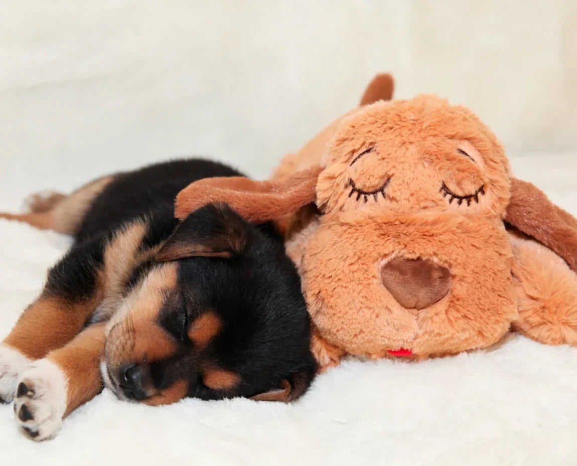 Snuggle Buddy Pet Toys