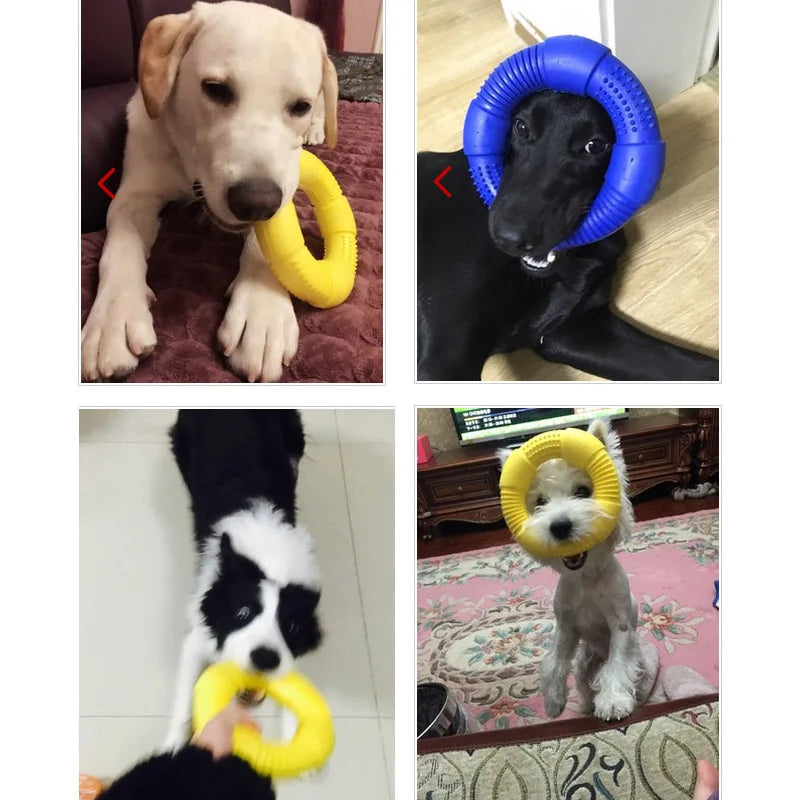 CAITEC Dog Toys Foam Ring Toy Soft Bite Ring Light Durable Floatable Bite Resistant Interactive Toy /3 Sizes