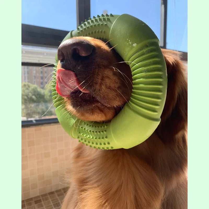 CAITEC Dog Toys Foam Ring Toy Soft Bite Ring Light Durable Floatable Bite Resistant Interactive Toy /3 Sizes