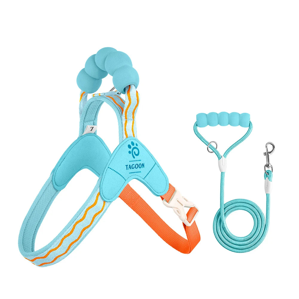 Dog Harness Leash Set Step-In No-Pull Easy Escape Proof Vest with Dual Leash Clips  for Puppy Small Medium  Dogs