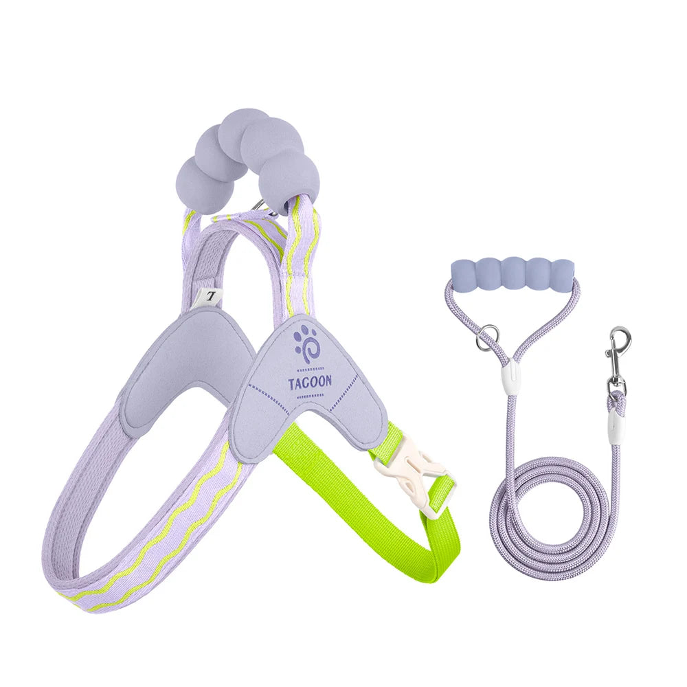 Dog Harness Leash Set Step-In No-Pull Easy Escape Proof Vest with Dual Leash Clips  for Puppy Small Medium  Dogs