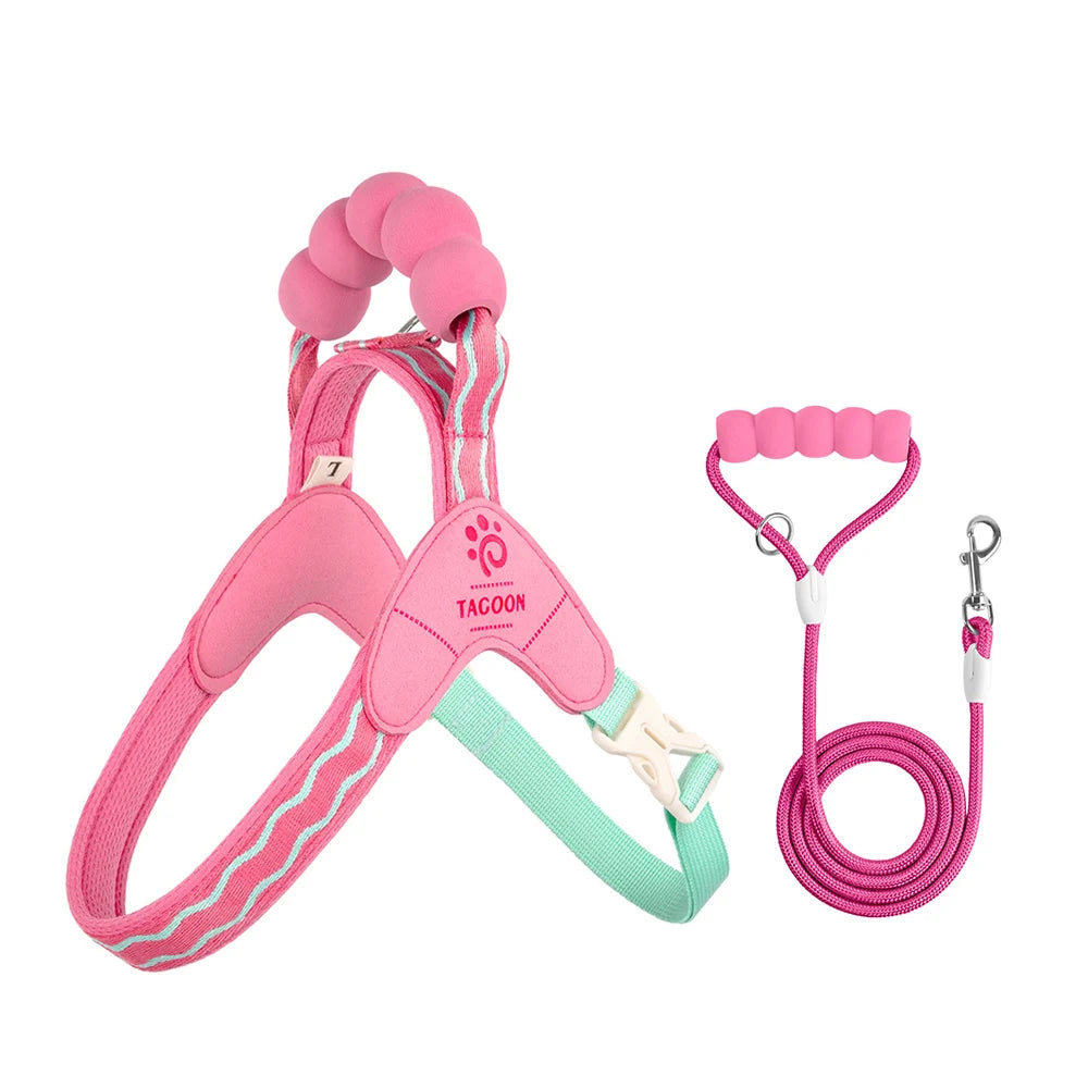 Dog Harness Leash Set Step-In No-Pull Easy Escape Proof Vest with Dual Leash Clips  for Puppy Small Medium  Dogs