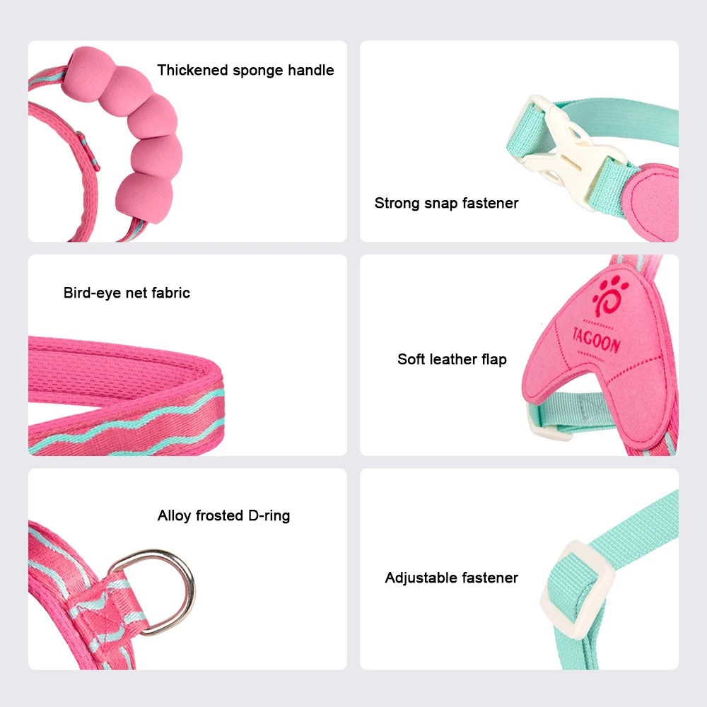 Dog Harness Leash Set Step-In No-Pull Easy Escape Proof Vest with Dual Leash Clips  for Puppy Small Medium  Dogs