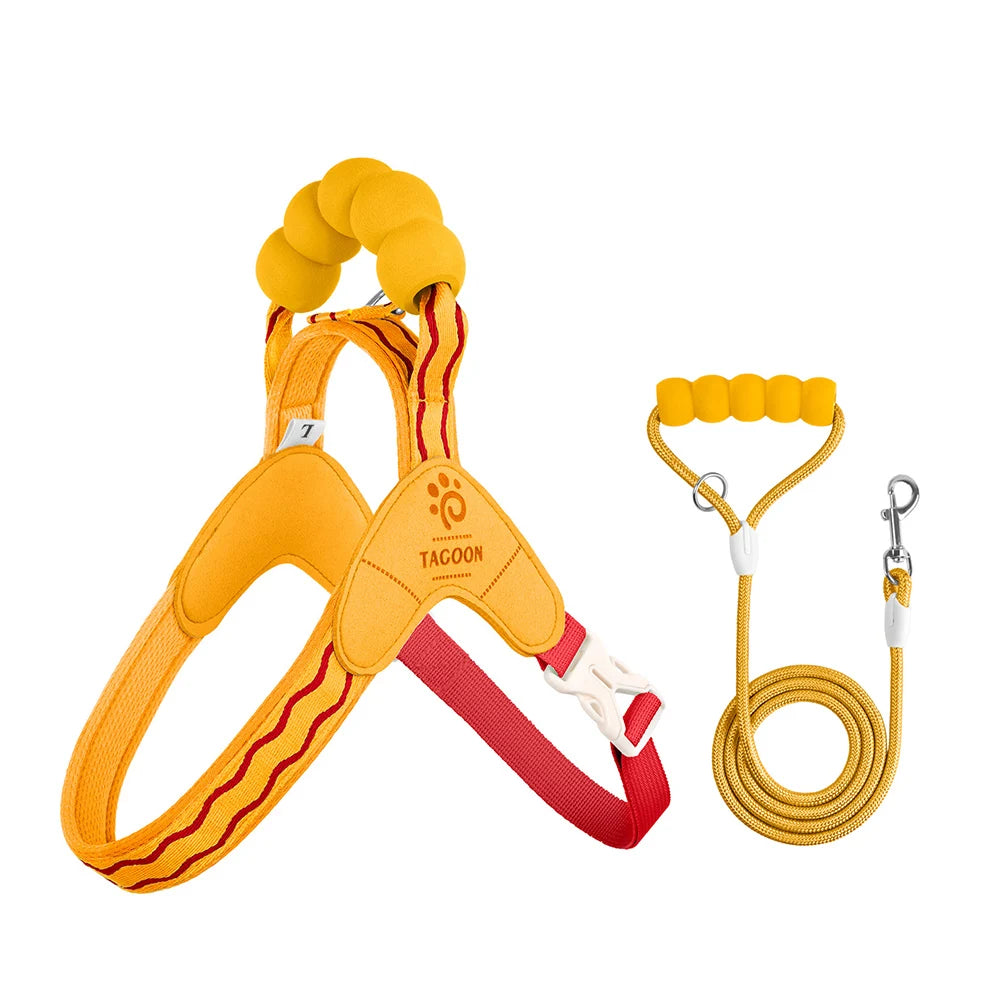 Dog Harness Leash Set Step-In No-Pull Easy Escape Proof Vest with Dual Leash Clips  for Puppy Small Medium  Dogs
