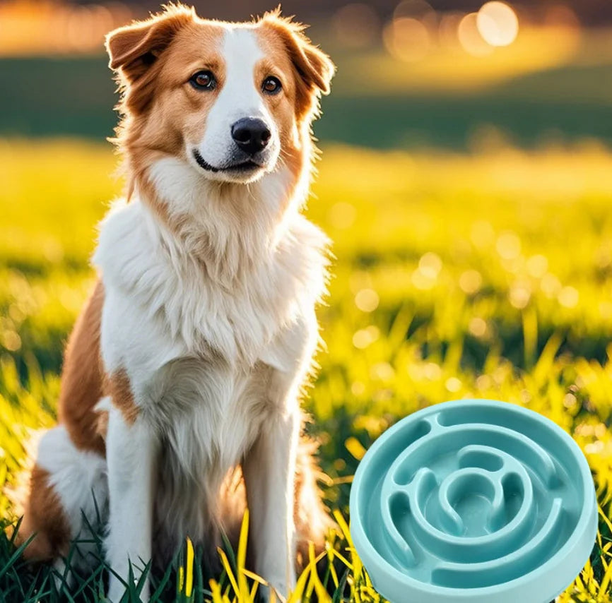 Maze Slow Feeder Dog Bowl - Non-Slip Interactive Bowl for Dogs & Cats, Prevents Bloat & Choking, Healthy Eating